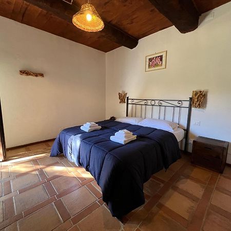 B&B Podere Legnotorto Castel del Piano  Extérieur photo