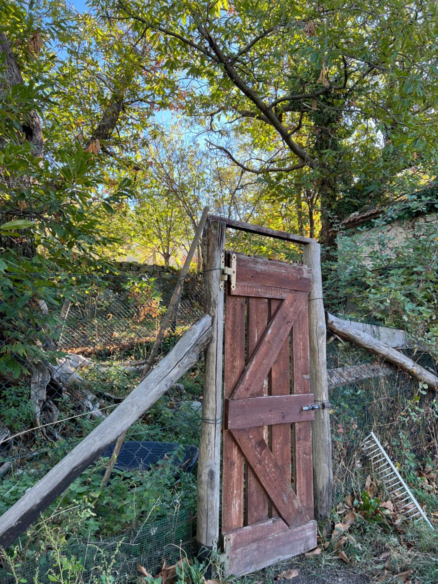 B&B Podere Legnotorto Castel del Piano  Extérieur photo